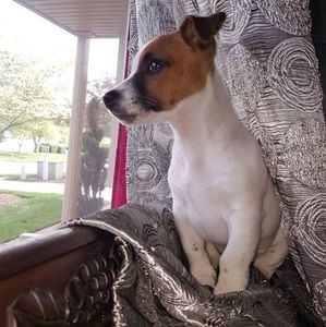 Meet your Posher, Charito